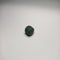 Circle Hijab Magnets - Bottle Green