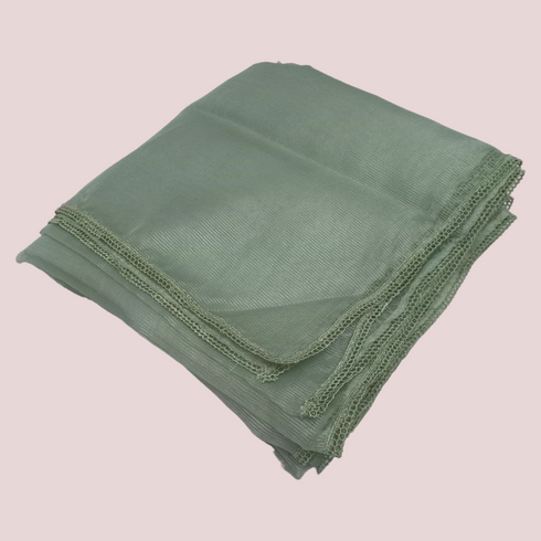 Organza Net Laced Dupatta - Tea Green