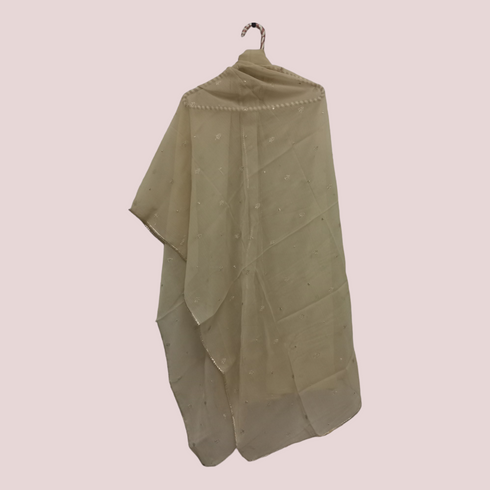 Chiffon Embroidery Laced Dupatta - Dull Beige