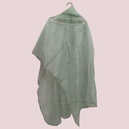 Organza Net Laced Dupatta - Tea Green