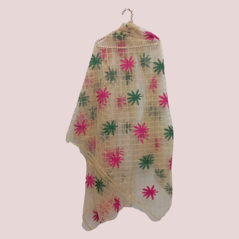 Aari Net Dupatta - Skin