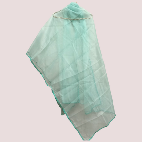 Organza Net Laced Dupatta - Aqua Green