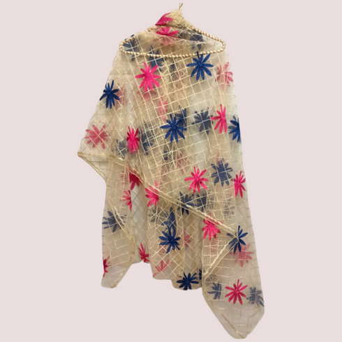 Aari Net Dupatta - Skin