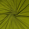 Plain Jersey - Apple Green