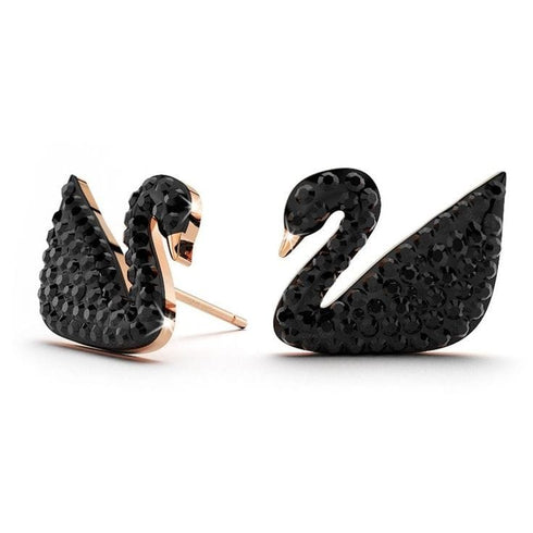 Black Swan Studs