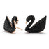 Black Swan Studs